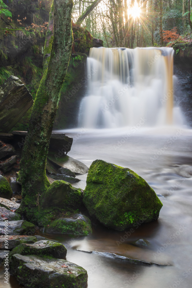 Fototapeta premium waterfall in the forest