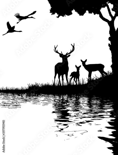 background of deer in the forest