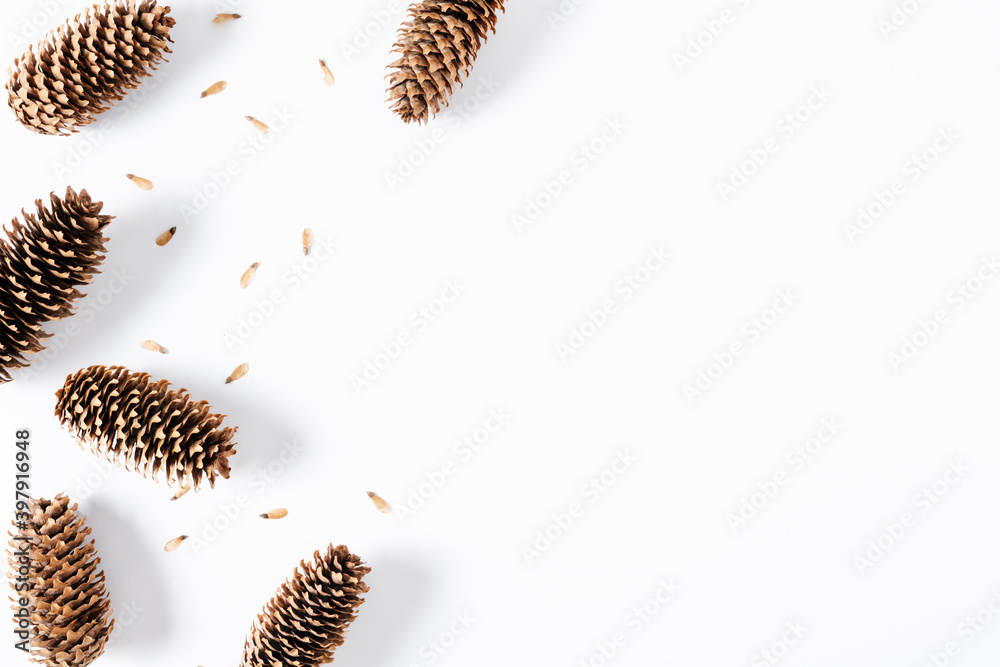 Christmas, winter composition. Pine cone on white background. Flat lay, top view, copy space Christmas, winter composition. Pine cone on white background. Flat lay, top view, copy space