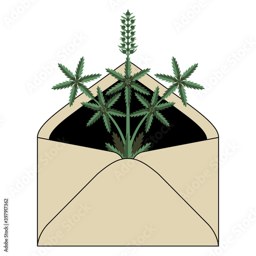  Paper envelope with branch of cannabis or hemp plant inside. Marijuana delivery.