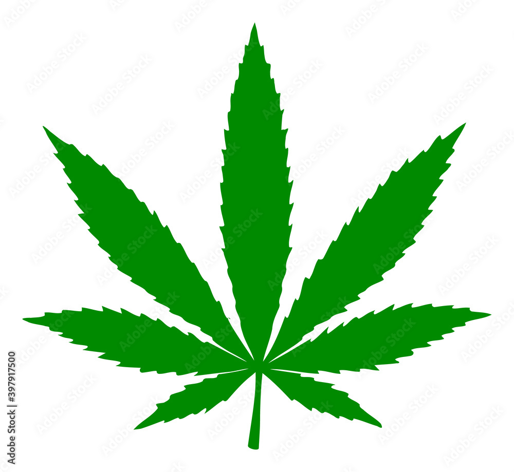 Cannabis icon with flat style. Isolated vector cannabis icon image on a white background.