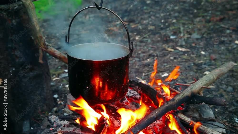 campfire in the forest with boiling kettle in the fire campfire in the forest with boiling kettle in the fire