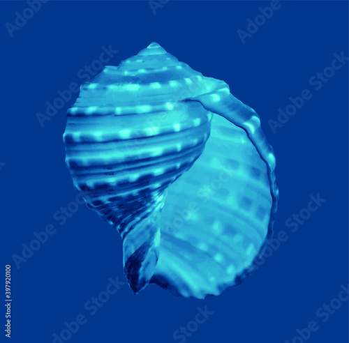 Blue sea shell art watercolor illustration from the ocean on white background