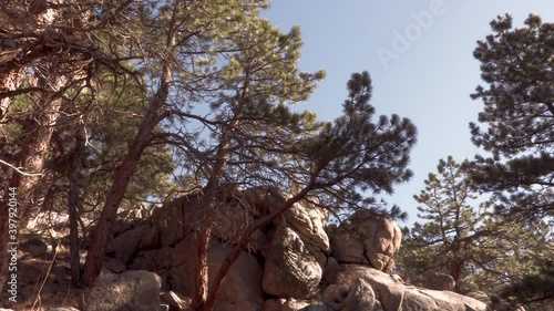 Mountain Hike In The Flatirons Through The Pines