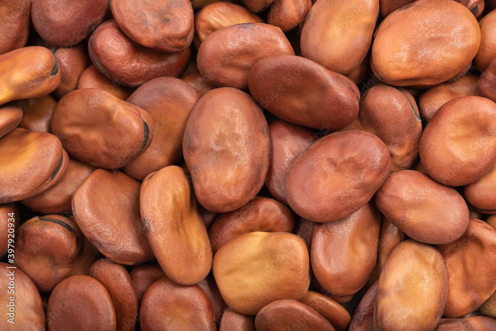 Dried organic healthy fava beans close-up as background Dried organic healthy fava beans close-up as background
