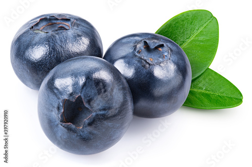 Fresh organic blueberry with leaves