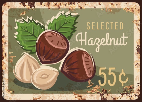Hazelnut nuts, hazel metal rusty plate, price sign or farm market menu, vector retro poster. Organic natural raw food, culinary ingredient and dessert snack hazelnut or hazel nuts, metal plate rust