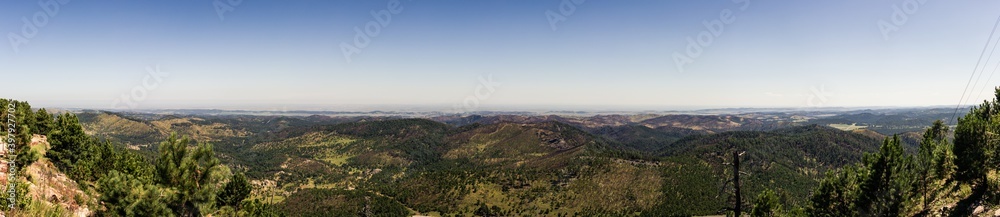 Panorama view of wavy landscape of recovering forest after forest fire in america nature