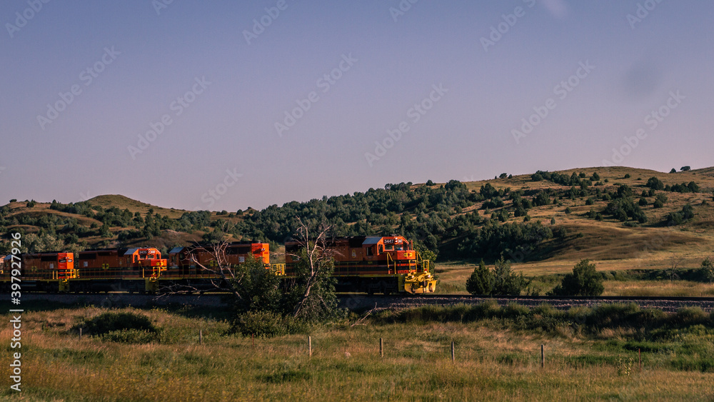 Fototapeta premium American cargo train in nature
