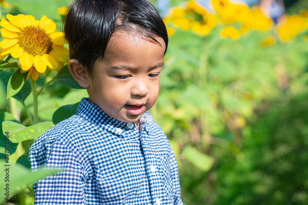 Portrait of adorable little asian kid boy on summer sunflower field outdoors Portrait of adorable little asian kid boy on summer sunflower field outdoors