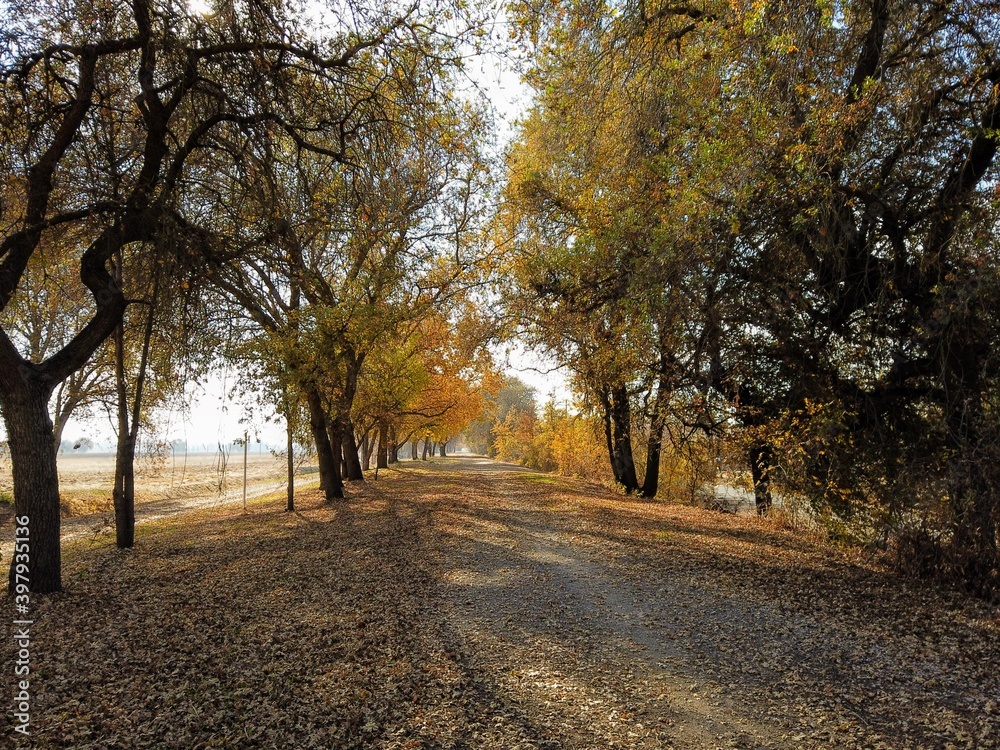 Naklejka premium Multi use trail in Sacramento during fall