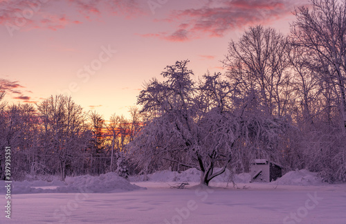 A Winter Wonderland in Massachusetts.  © Belia