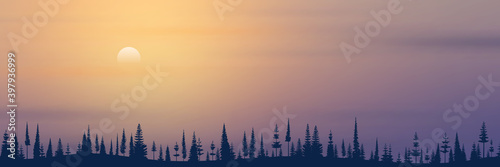 Winter northern landscape. Coniferous forest on the horizon, the sun is setting.