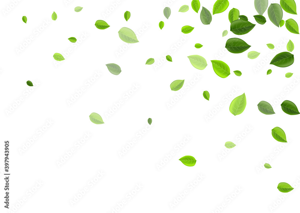 Grassy Leaves Abstract Vector Background. Grassy Leaves Abstract Vector Background.
