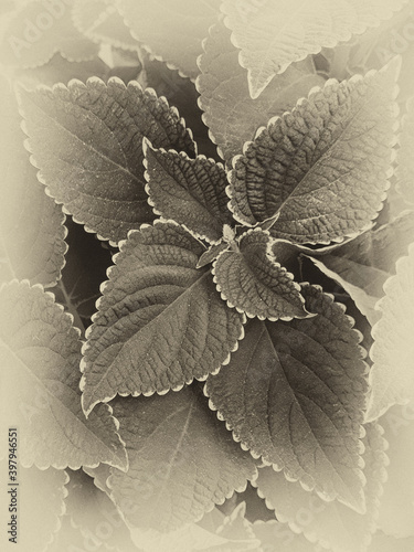 Seamless random fill leaves pattern background