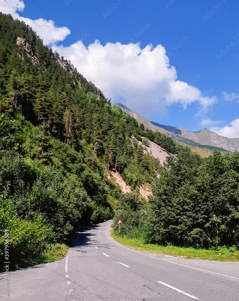 Summer view on a winding road amidst forest beside high mountain slope covered with green pine trees