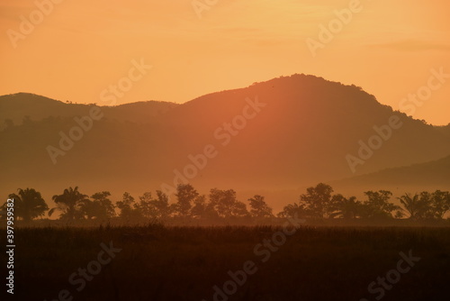 Picture of a sun setting behind a dense forest area followed by mountains. 