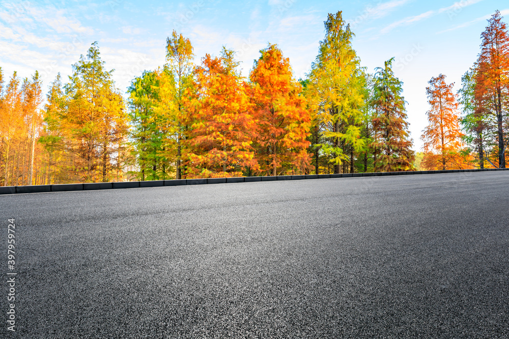 Asphalt road and colorful forest natural landscape in autumn season.