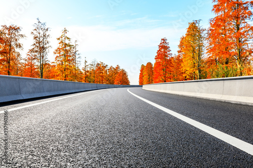 Asphalt road and colorful forest natural landscape in autumn season.