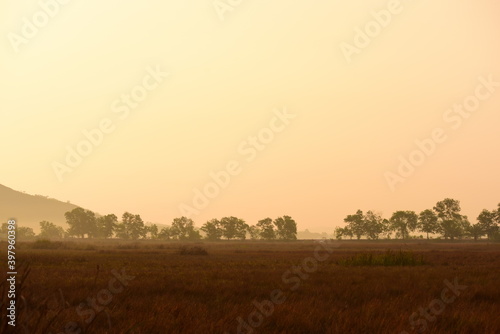 sunrise behind a dense forest area followed by mountains. 