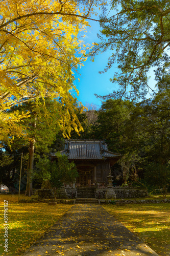 紅葉　いちょう　神社　秋