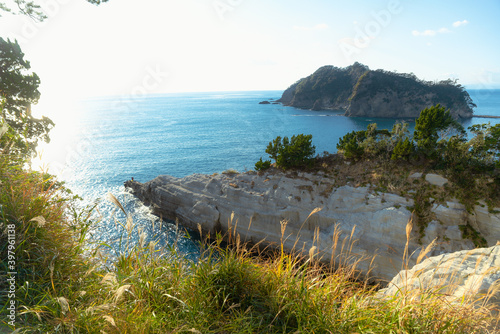 夏　海　サーフィン　伊豆
