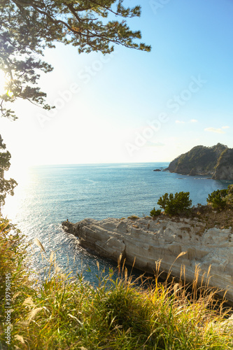 夏　海　サーフィン　伊豆