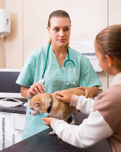 Smiling teenager girl with her puppy visiting veterinarian clinic. High quality photo