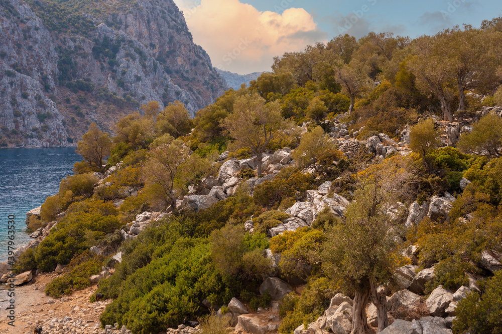 Fototapeta premium Beautiful idyllic mountain landscape sea. Amazing mountain landscape on the cloudy sky, natural outdoor travel background. Beauty world.
