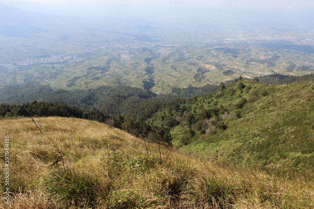 Naklejka premium beautiful meadow on hill, nature background landscape view, wallpaper photo