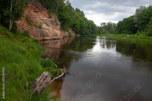  Latvian nature, with a beautiful river and tree branches, with a green landscape