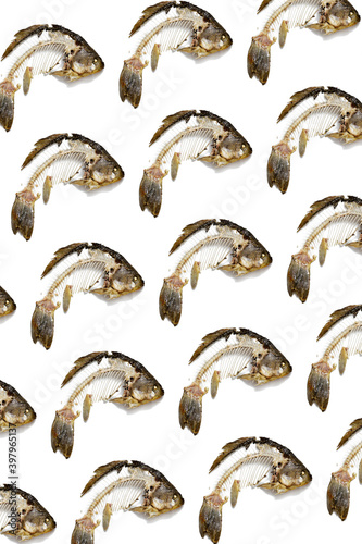 Geometric pattern from fish skeleton that was eaten, leftovers of food. Creative food background. © yrabota