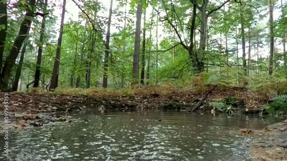 Mountain biker riding through a puddle in the middle of a forest Mountain biker riding through a puddle in the middle of a forest