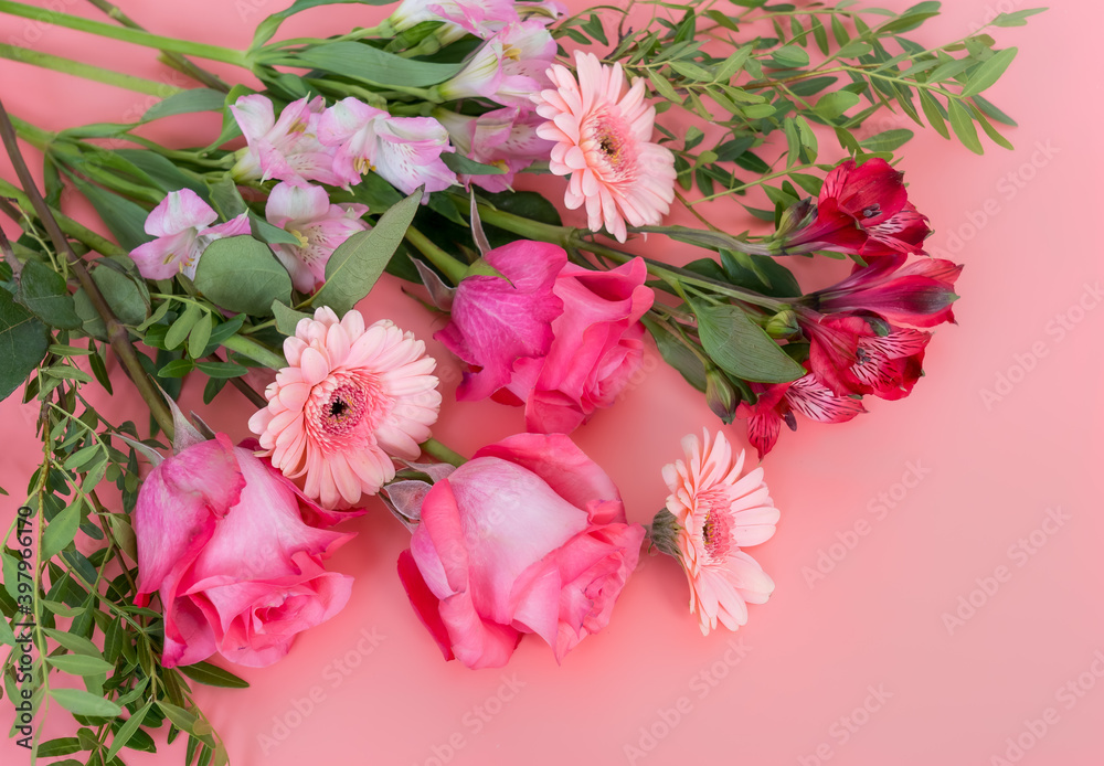 Bouquet of fresh scarlet roses, pink gerberas, and pink and red Alstroemeria on a pink background