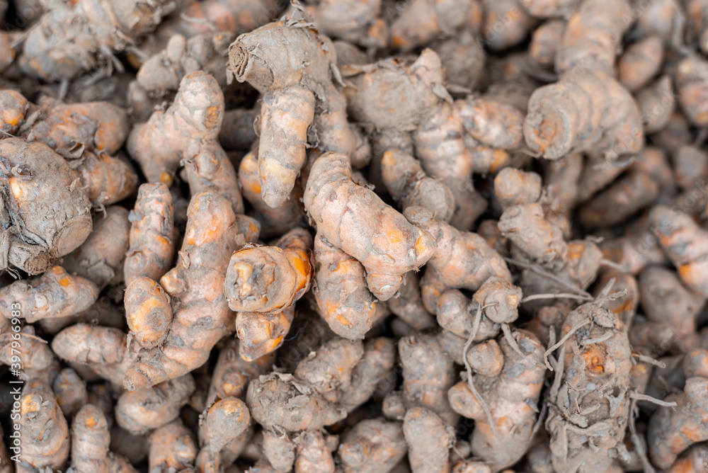 close up of many raw turmeric in market place close up of many raw turmeric in market place