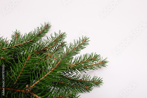 Blank business card with fir christmas tree branches. New year celebration concept banner. Gift certificate. Side view. Minimalist mockup. Invitation to an event or party. Advertising information