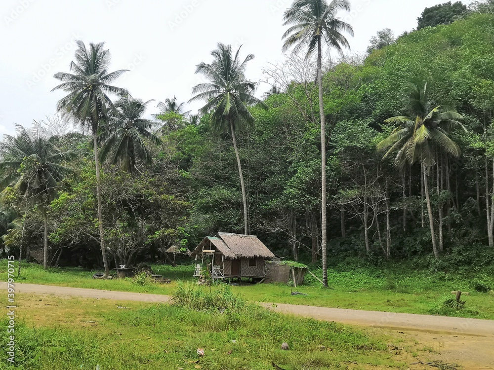 hut in the jungle hut in the jungle
