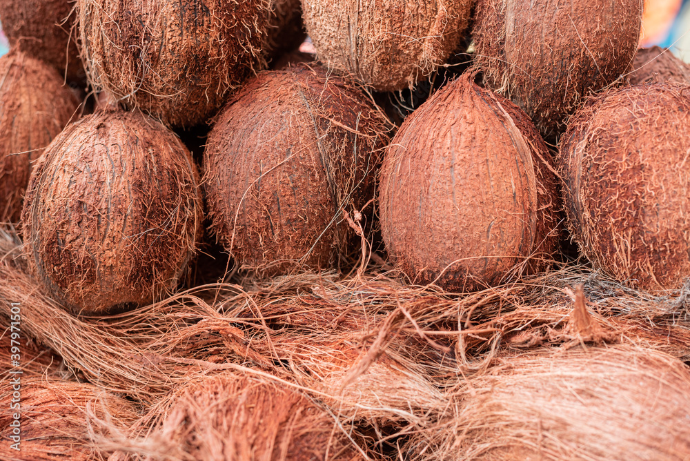 close up of coconuts close up of coconuts