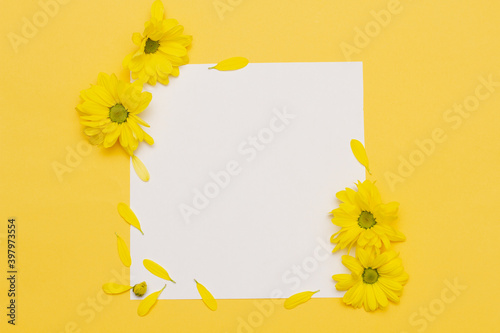 Fototapeta Naklejka Na Ścianę i Meble -  small yellow flowers with scattered petals lie