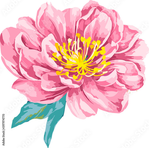 Beautiful vector rose flower illustration