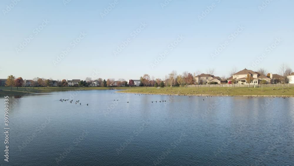 Overhead aerial view of relaxing and swimming Canadian geese on a pond surface. American suburban neighborhood. 4K
Overhead aerial view of relaxing and swimming Canadian geese on a pond surface. American suburban neighborhood. 4K