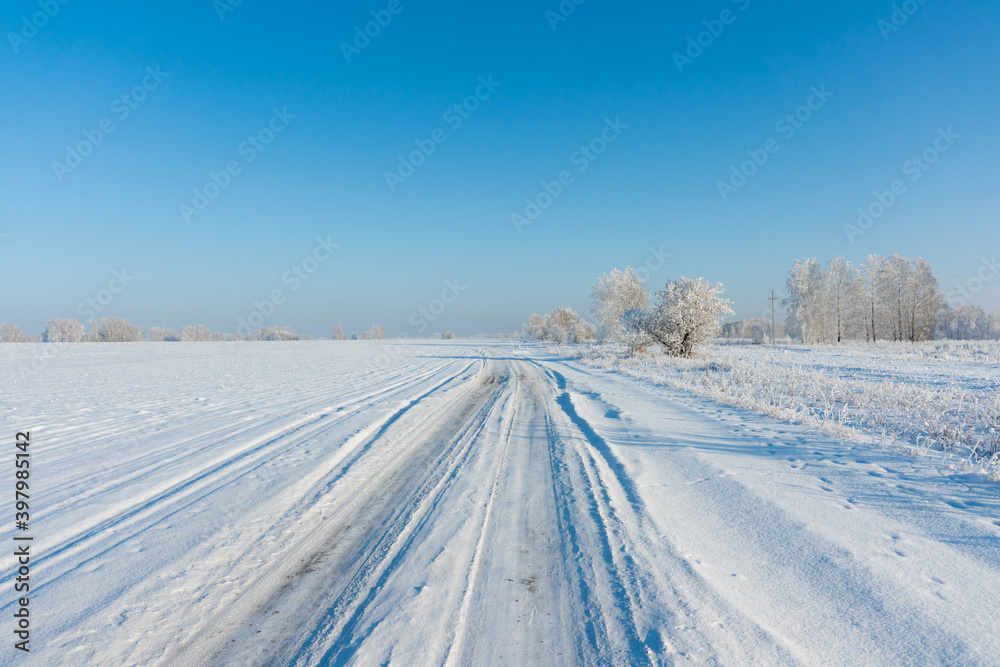 Snow covered winter field with trees and road going through to the horizon. Winter landscape. Beautiful winter nature.