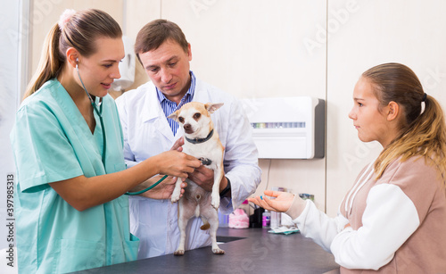 Two veterinarians examine a dog. Girl worries about her pet. High quality photo