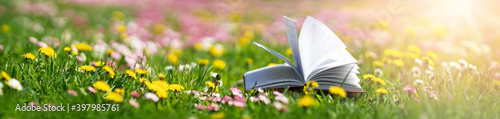 Open book in the grass on the field on sunny day