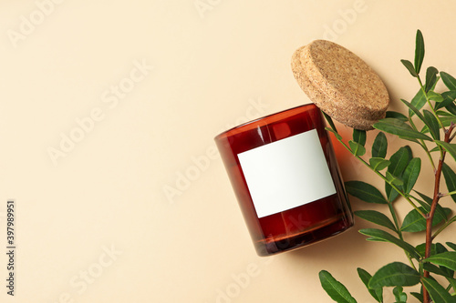 Bilde på lerret Scented candle and plant branch on beige background