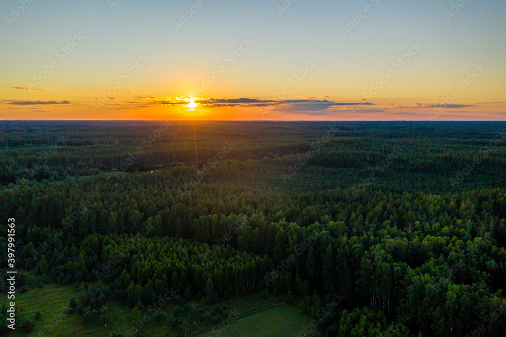 colorful sunset over over the trees, evening landscape