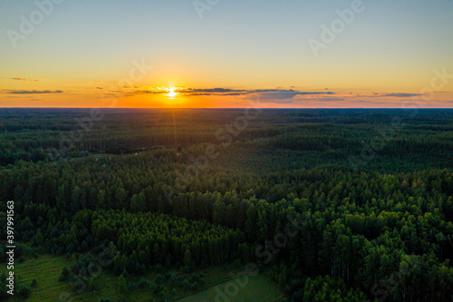 colorful sunset over over the trees, evening landscape