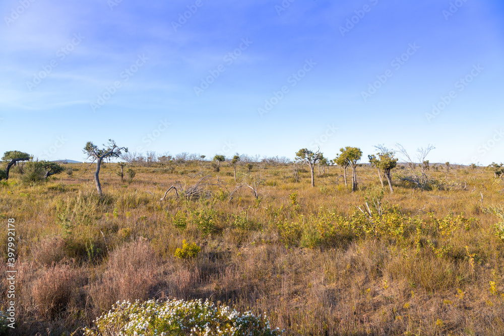 Landscape in the Cape Le Grand National Park east of Esperance, Western Australia