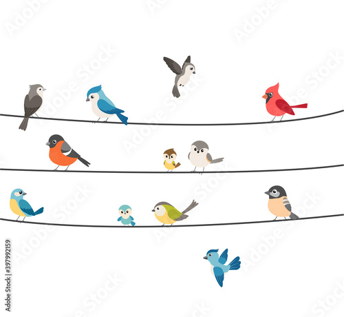 Colorful birds sitting on wire isolated on white