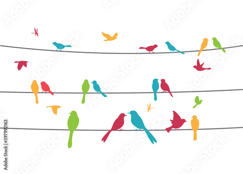 Colorful birds sitting on wire isolated on white
